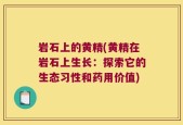 岩石上的黄精(黄精在岩石上生长：探索它的生态习性和药用价值)