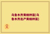 乌鲁木齐黄精种苗(乌鲁木齐出产黄精种苗)