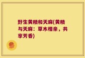 野生黄精和天麻(黄精与天麻：草木相亲，共享芳香)