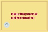 丹霞山黄精(探秘丹霞山神奇的黄精奇观)