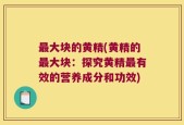最大块的黄精(黄精的最大块：探究黄精最有效的营养成分和功效)