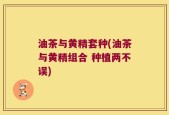 油茶与黄精套种(油茶与黄精组合 种植两不误)