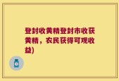 登封收黄精登封市收获黄精，农民获得可观收益)
