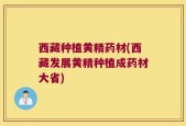 西藏种植黄精药材(西藏发展黄精种植成药材大省)