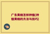 广东黄精怎样种植(种植黄精的方法与技巧)