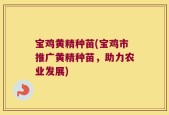 宝鸡黄精种苗(宝鸡市推广黄精种苗，助力农业发展)