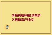 清镇黄精种植(清镇步入黄精高产时代)