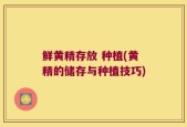 鲜黄精存放 种植(黄精的储存与种植技巧)