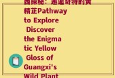 广西野生黄精别名(广西探秘：邂逅奇特的黄精芷Pathway to Explore Discover the Enigmatic Yellow Gloss of Guangxi's Wild Plants)