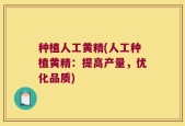 种植人工黄精(人工种植黄精：提高产量，优化品质)
