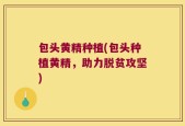 包头黄精种植(包头种植黄精，助力脱贫攻坚)