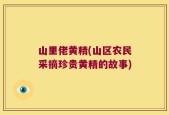 山里佬黄精(山区农民采摘珍贵黄精的故事)