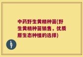中药野生黄精种苗(野生黄精种苗销售，优质原生态种植的选择)