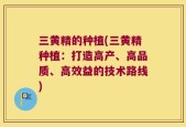 三黄精的种植(三黄精种植：打造高产、高品质、高效益的技术路线)