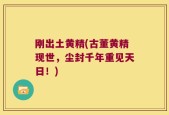 刚出土黄精(古董黄精现世，尘封千年重见天日！)