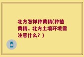 北方怎样种黄精(种植黄精，北方土壤环境需注意什么？)