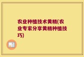 农业种植技术黄精(农业专家分享黄精种植技巧)