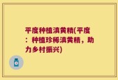 平度种植滇黄精(平度：种植珍稀滇黄精，助力乡村振兴)