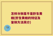 怎样分别是不是野生黄精(野生黄精的特征及鉴别方法简介)