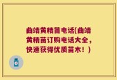 曲靖黄精苗电话(曲靖黄精苗订购电话大全，快速获得优质苗木！)