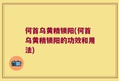 何首乌黄精锁阳(何首乌黄精锁阳的功效和用法)