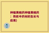 种植黄精药种植黄精药：传统中药材的生长与应用)