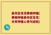 县市区交流黄精种植(黄精种植县市区交流：分享种植心得与经验)