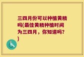 三四月份可以种植黄精吗(最佳黄精种植时间为三四月，你知道吗？)