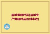 盐城黄精种苗(盐城生产黄精种苗达到丰收)