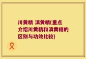 川黄精 滇黄精(重点介绍川黄精和滇黄精的区别与功效比较)