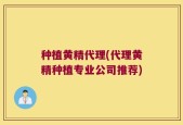 种植黄精代理(代理黄精种植专业公司推荐)