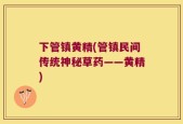 下管镇黄精(管镇民间传统神秘草药——黄精)