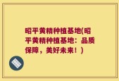 昭平黄精种植基地(昭平黄精种植基地：品质保障，美好未来！)