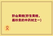 野山黄精(野生黄精，最珍贵的中药材之一)