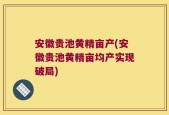 安徽贵池黄精亩产(安徽贵池黄精亩均产实现破局)