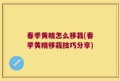 春季黄精怎么移栽(春季黄精移栽技巧分享)