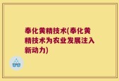 奉化黄精技术(奉化黄精技术为农业发展注入新动力)
