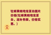 牡蛎黄精地龙蛋白图片价格(牡蛎黄精地龙蛋白，滋补养颜，价格实惠。)