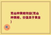 荒山种黄精效益(荒山种黄精，价值高于黄金)