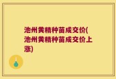 池州黄精种苗成交价(池州黄精种苗成交价上涨)