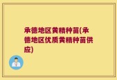 承德地区黄精种苗(承德地区优质黄精种苗供应)