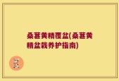 桑葚黄精覆盆(桑葚黄精盆栽养护指南)