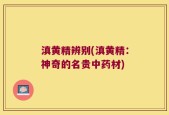 滇黄精辨别(滇黄精：神奇的名贵中药材)