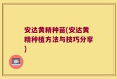 安达黄精种苗(安达黄精种植方法与技巧分享)