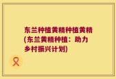 东兰种植黄精种植黄精(东兰黄精种植：助力乡村振兴计划)