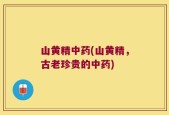 山黄精中药(山黄精，古老珍贵的中药)