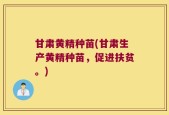 甘肃黄精种苗(甘肃生产黄精种苗，促进扶贫。)