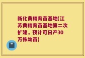 新化黄精育苗基地(江苏黄精育苗基地第二次扩建，预计可日产30万株幼苗)