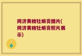 同济黄精牡蛎膏图片(同济黄精牡蛎膏照片展示)