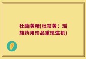 杜励黄精(杜禁黄：瑶族药用珍品重现生机)